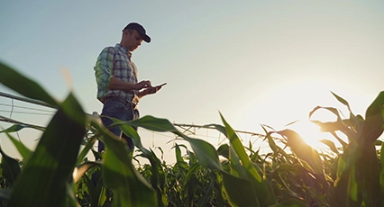 crops-icon