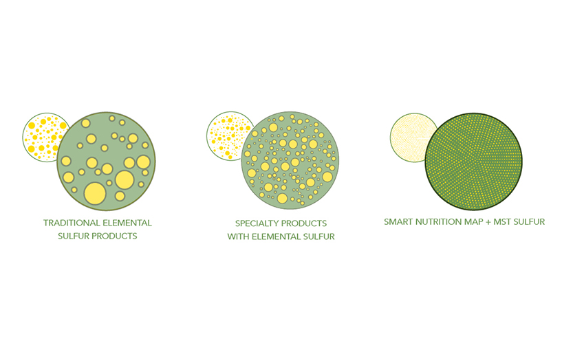 a comparative diagram of sulfur content in Smart Nutrition MAP + MST vs traditional brands