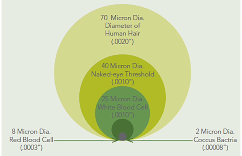 How Big Is A Micron? | Smart Nutrition