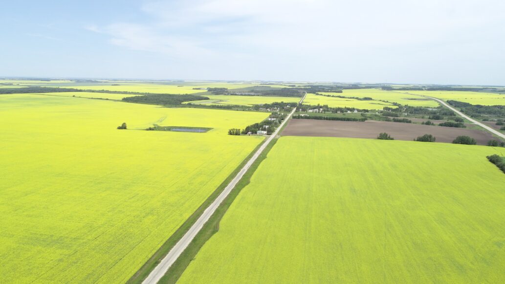 Fields of crops photographed from a birds eye view