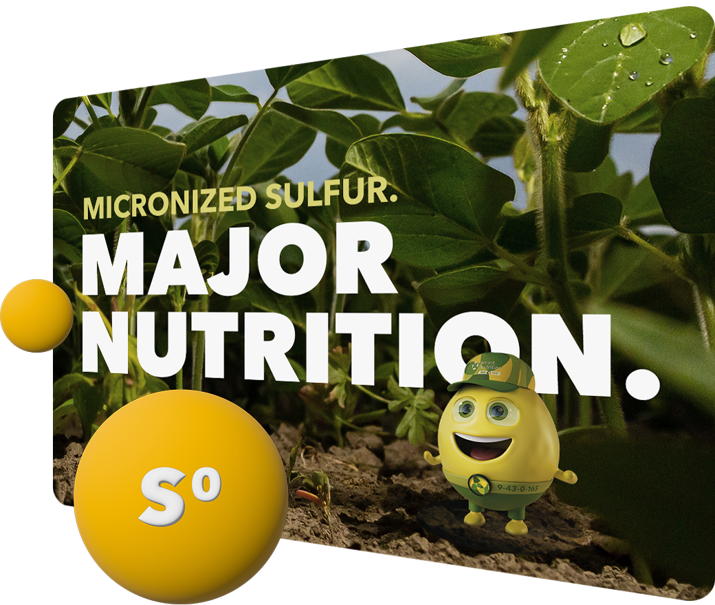 Smart Nutrition mascot standing with crops, text says 'Major nutrition'