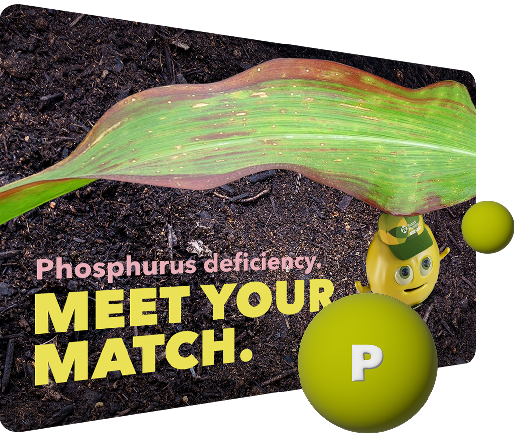 Smart Nutrition mascot standing with crops, text says 'Phosphorus deficiency. Meet your match.'