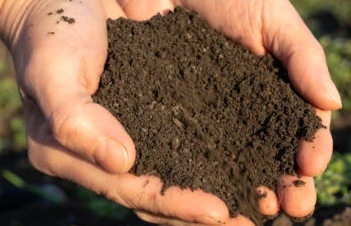 A farmer with a handful of soil