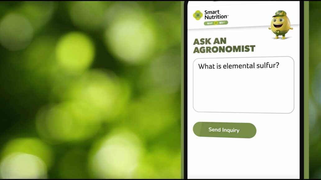 What is elemental Sulfur? Ask an Agronomist