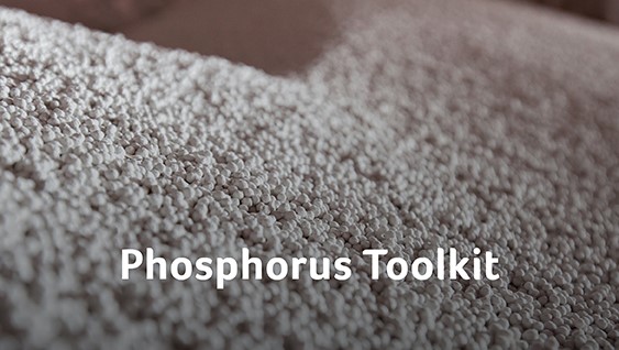 Phosphorus Toolkit