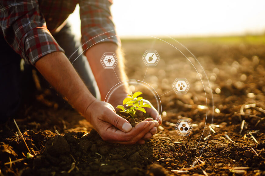 Male Hands Touching Soil On The Field. Expert Hand Of Farmer Checking Soil Health. Ecology Concept.