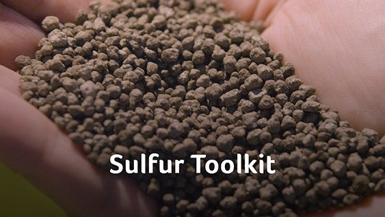 Sulfur Toolkit