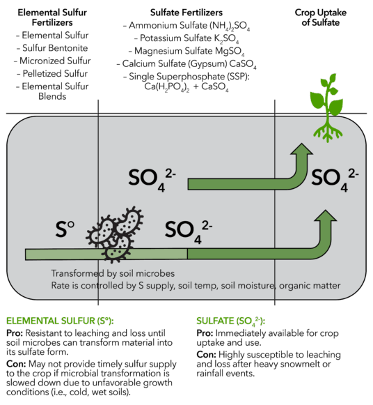 Elemental Sulfur-Based Fertilizers